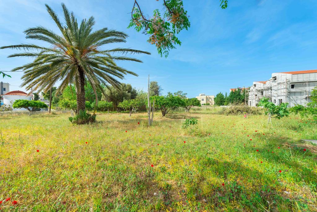 Villa Agia Paraskevi เอียลิซอส ภายนอก รูปภาพ